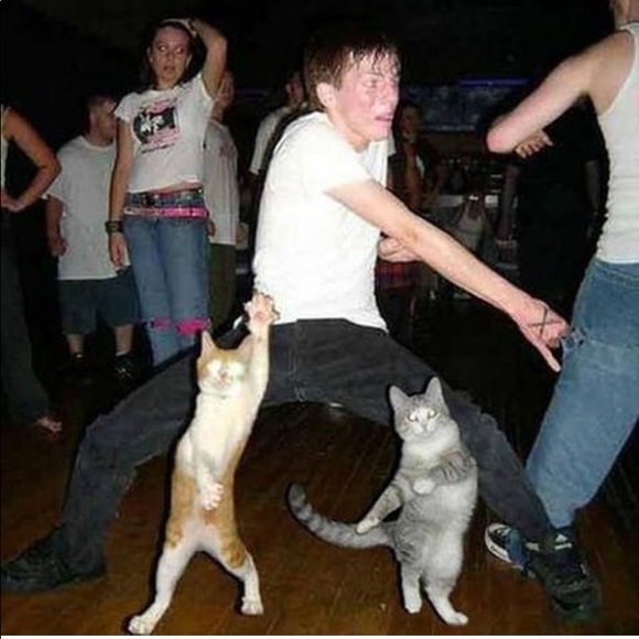 Meet your Posher, Camille - Picture 1 of 1